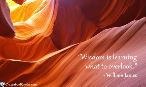 Sunlight creating orange glow from inside canyon with William James quote